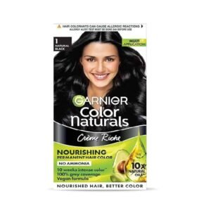 Garnier Color 1Naturals Black
