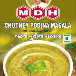 MDH Chutney Pudina Masala 100gm