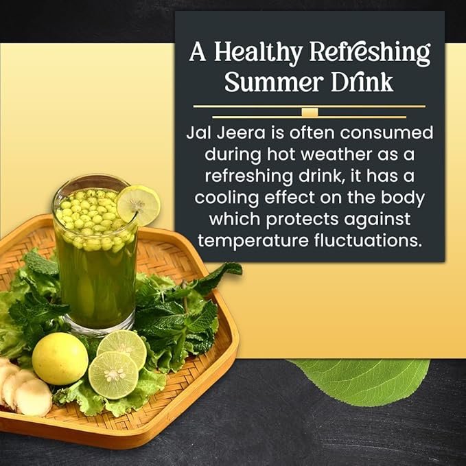 Pushp Jal Jira Mix Masala 100gm - Image 4