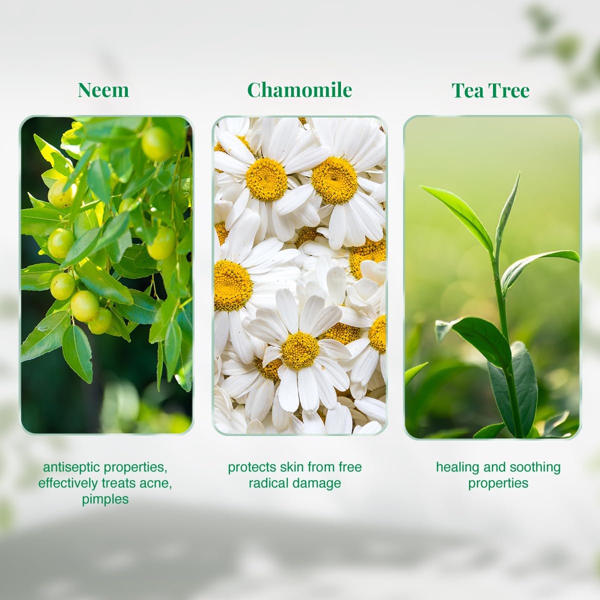 VLCC Neem Face Wash 150ml - Image 4