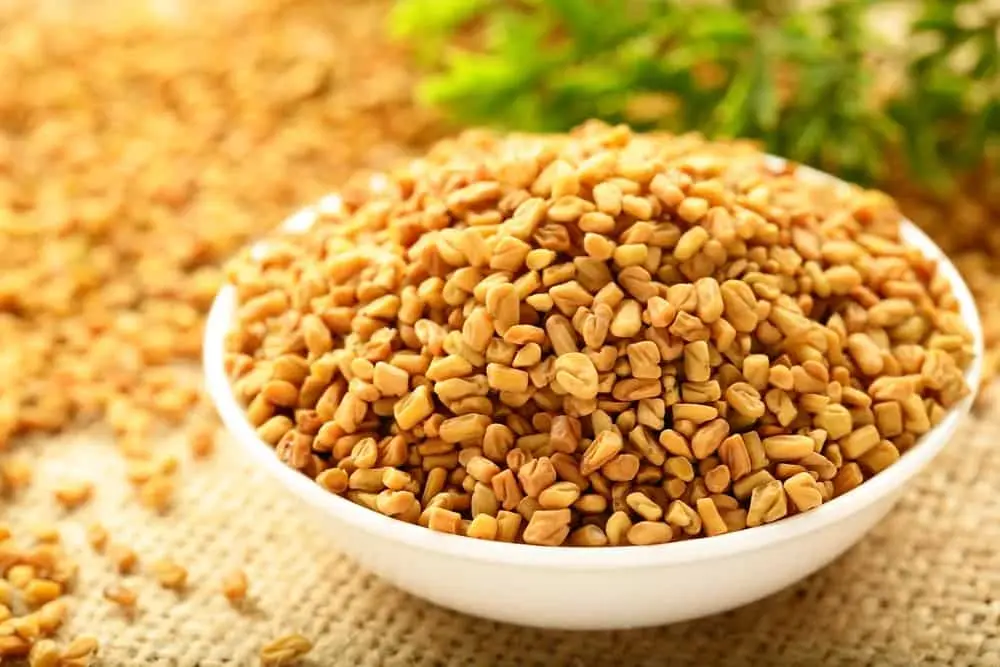 Fenugreek Seeds 100 Gm