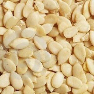 PUMPKIN SEEDS ( KADDU MAGAJ ) 100GM