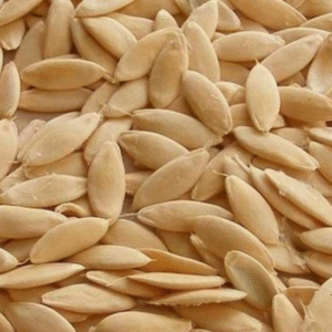 Khira Magaj (Cucumber Seeds) 100 Gm