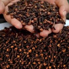 Premium Quality Clove (Long) - 50 Gm
