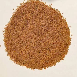 Fenugreek (Methi Dana) 100 Gm