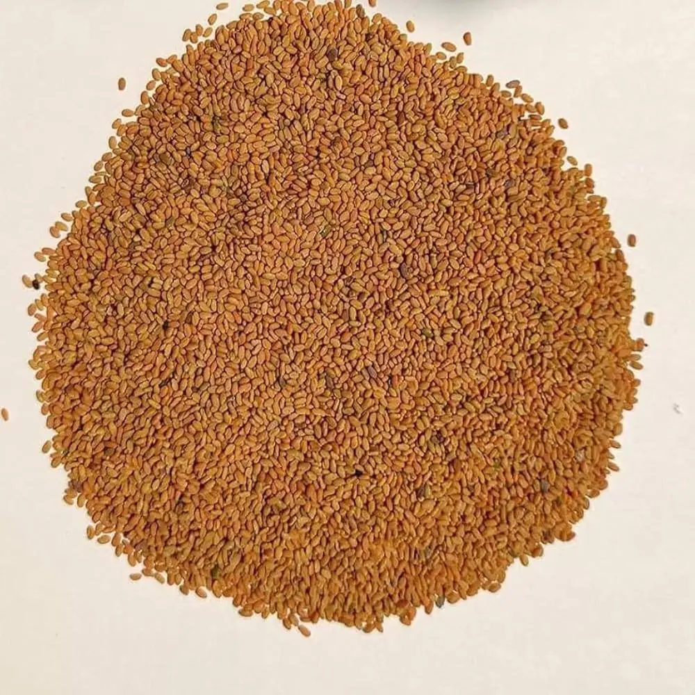 Fenugreek (Methi Dana) 100 Gm