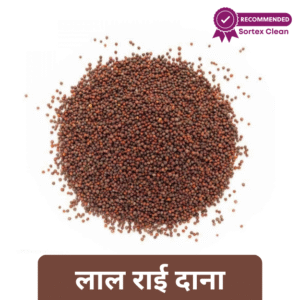 Mustard Seed 100 Gm
