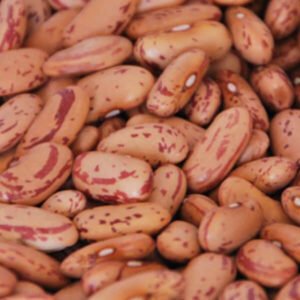Kidney Beans (Rajma White) 1 Kg