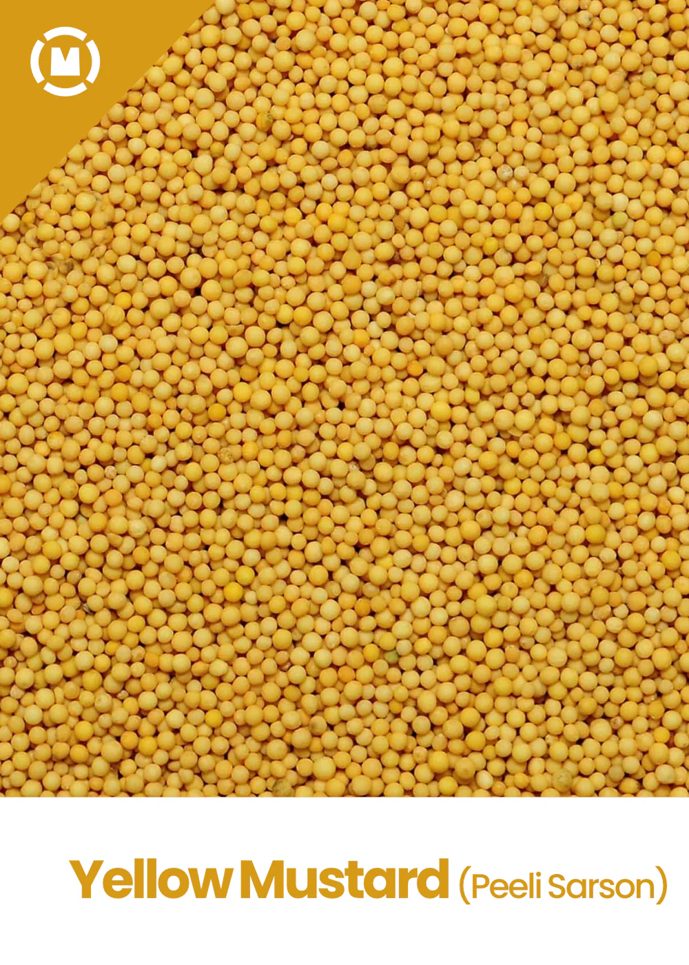 Yellow Mustard Seed (Seti Sarso) 100 Gm