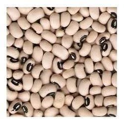 Cowpea (Rongi) 500 Gm