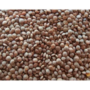 Lentil (Masar Sabut) 500 Gm