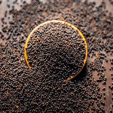 Mustard Seed (Black Rai Sabut) - 100 Gm