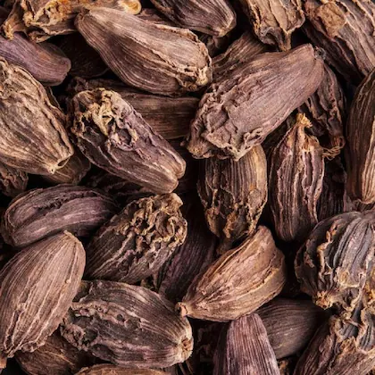 Cardamom (Badi Elachi) - 50 gm