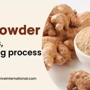 Ginger Dry (Sund Powder) 50 gm