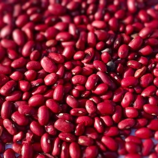 Kidney Beans (Red Rajma Small) 500 Gm