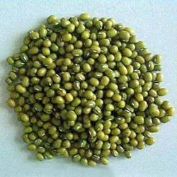 Green Gram (Moongi Sabut) 500 Gm