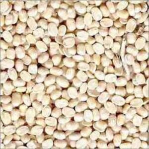 White Lentil (Maah Dhuli) 500 Gm