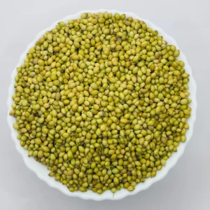 Coriander (Dhania) 100 Gm – Fresh and Aromatic Spice