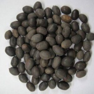 Lotus Seeds (Kamal Gatta) 100 Gm