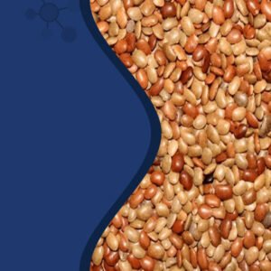 Horus Gram (Kulth Dal) 500 Gm