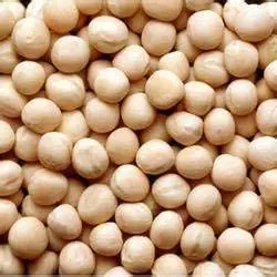 White Peas (Matar Dal) 500 Gm