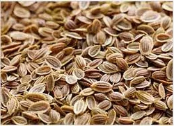 Dill Seeds (Pahadi Sounf) - 250 Gm