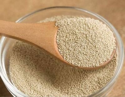 Yeast 50 Gm