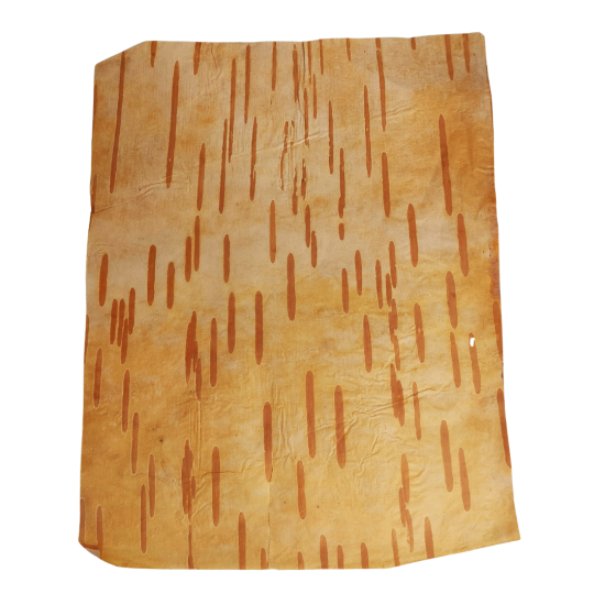 Bhoj Patra - Ancient Writing Medium