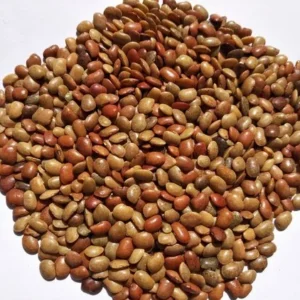 Horse Gram (Kulth Dal) 1 Kg