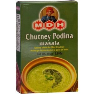 MDH CHUTNEY PODINA MASALA 100G